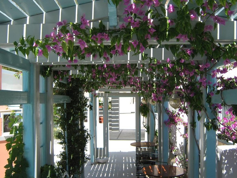 Hotel Anneta
