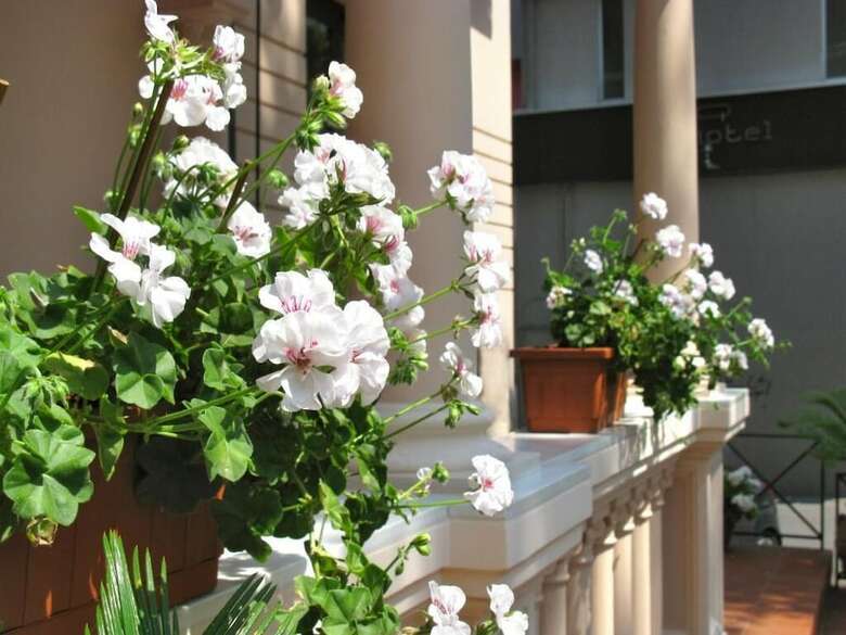 Hotel Villa Luigia