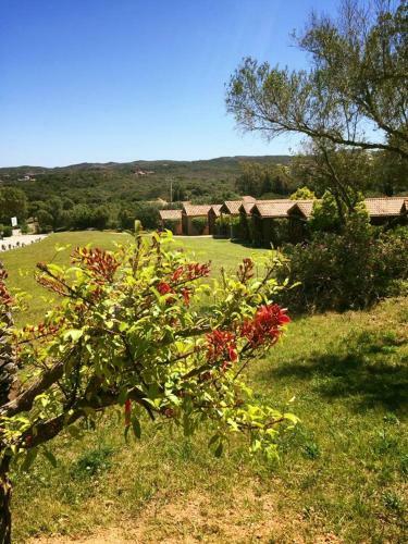 R�sidence Maora Village