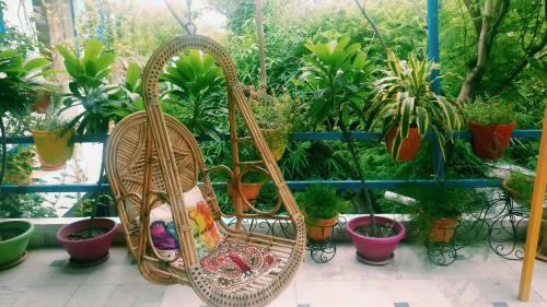 The Coral House Homestay