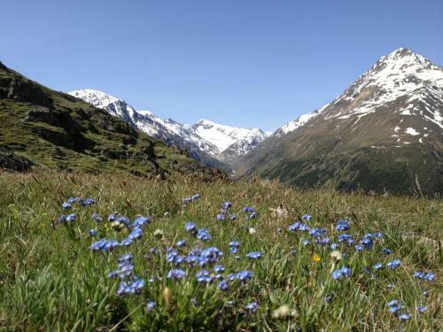 Apartamentos Appartement Wildspitz'
