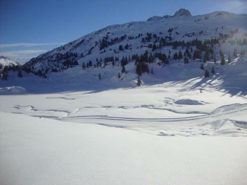 Bed & Breakfast Haus Berghof