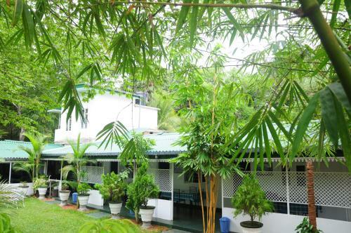 Hostal Levi's Tourist ? Anuradhapura