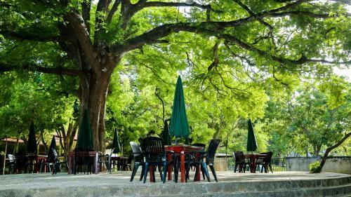Malwathu Oya Caravan Park