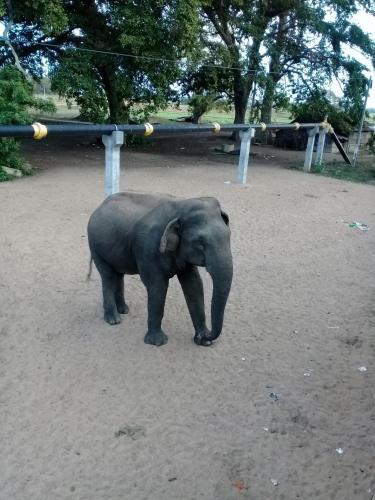 Green Beach Hotel