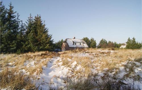 Four-bedroom Holiday Home In Blavand