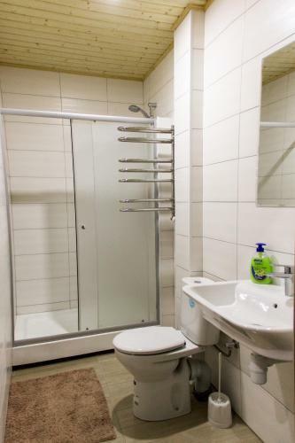 Posada Mini Hotel Metro Sportivnaya