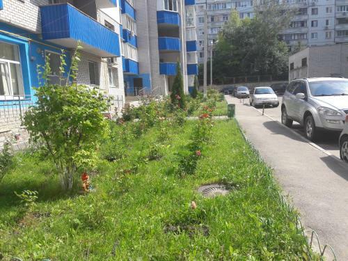 Apartments On Rodnikovoy