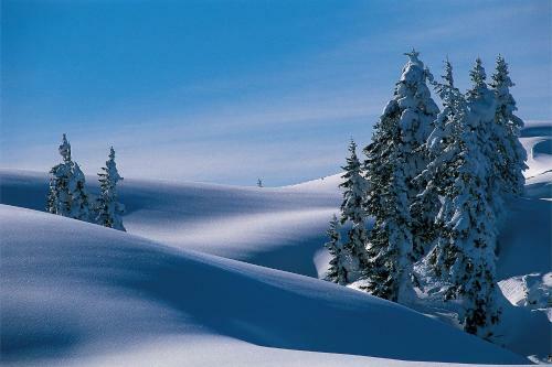 Apartamento Alpine Lodge Kl�sterle Am Arlberg