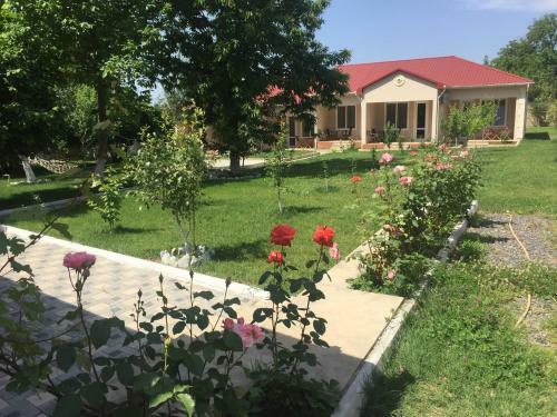 Gabala Dreams