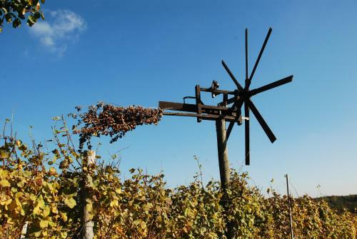 Weinbau Winzerzimmer Veronika Und Alfred Kl�ckl
