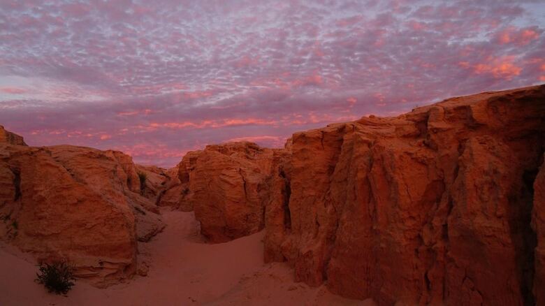 Hotel Mungo Lodge
