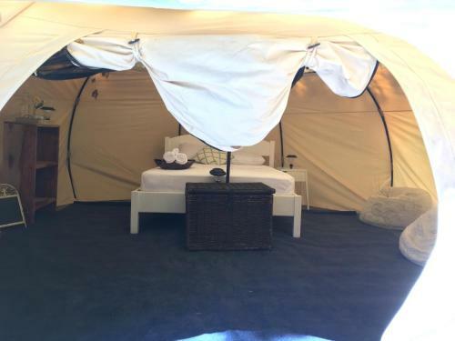 Driftwood Glamping & Boutique Hotel