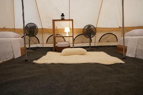 Driftwood Glamping & Boutique Hotel