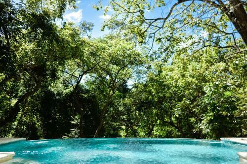 Driftwood Glamping & Boutique Hotel