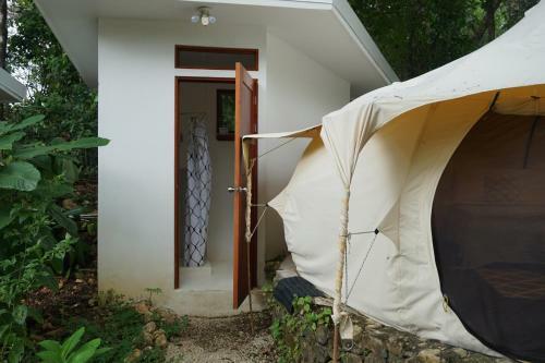 Driftwood Glamping & Boutique Hotel