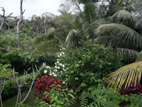 Apartamento Hacienda Pacifica #6