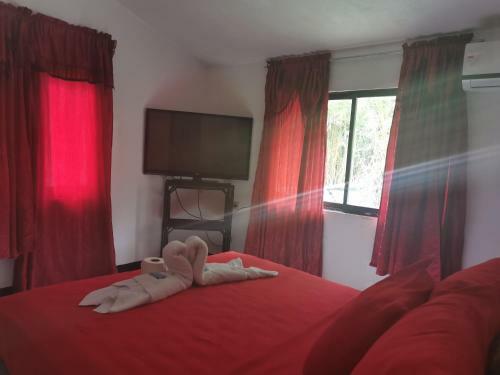 Hostal Hotel Cafe Del Mar, En Valle Pura Vida