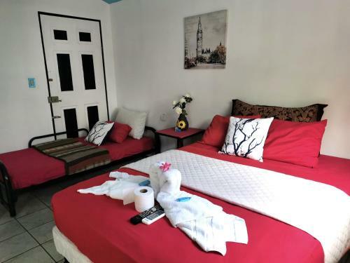 Hostal Hotel Cafe Del Mar, En Valle Pura Vida
