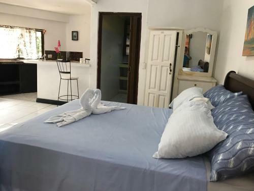 Hostal Hotel Cafe Del Mar, En Valle Pura Vida