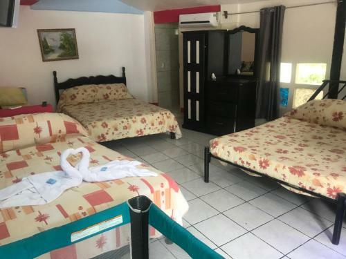 Hostal Hotel Cafe Del Mar, En Valle Pura Vida