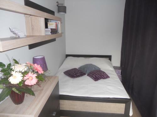 Apartament-studio