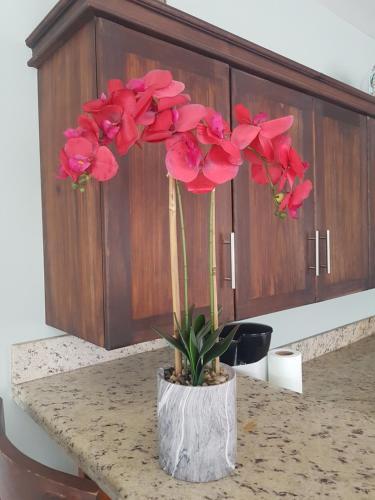 Apartamento Casa Malia Guapinol #8