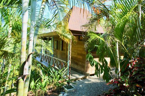 Hotel Uvita Bali Bosque Retreat