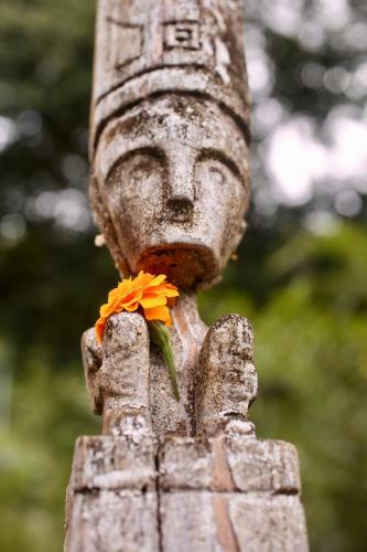 Hotel Uvita Bali Bosque Retreat