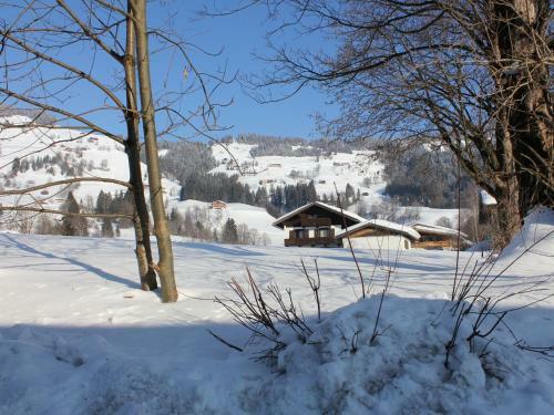 Holiday Home Jolles Brixen Im Thale