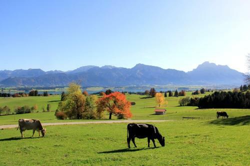 Landhotel Schwarzenbach - Wellness & Spa