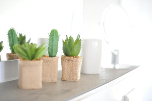 Apartamento Das Rebenhaus