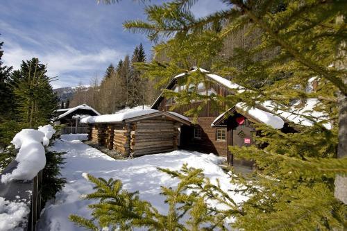 Apartamentos Feriendorf Kirchleitn Dorf Grosswild