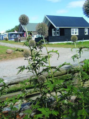 Holiday Home Struer 12