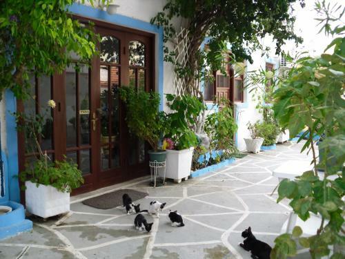 Apartamentos Mertonas Studios