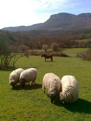 Agroturismo Casa Rural Parriola