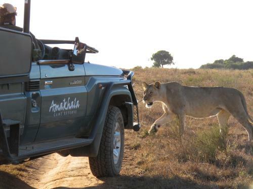 Woodbury Lodge ? Amakhala Game Reserve