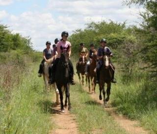 Mashovhela Bush Lodge
