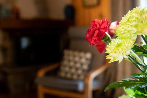 Apartamento Les Tetras