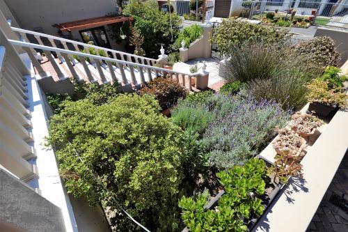 Fish Hoek Bed And Breakfast