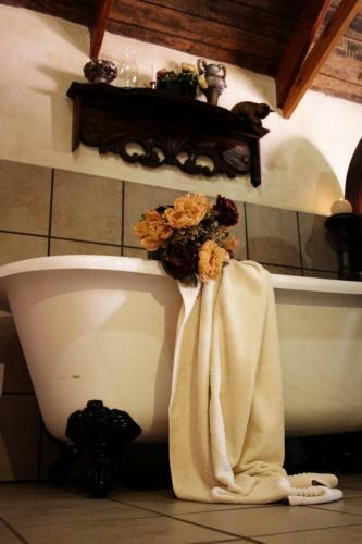 Hostal Fox's Hill Guesthouse