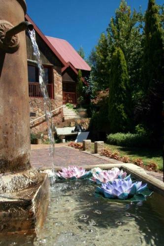 Hostal Fox's Hill Guesthouse