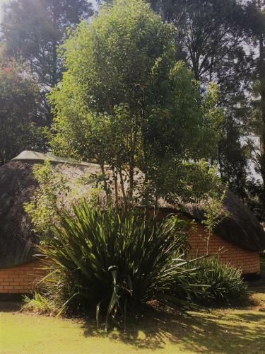 Summit Lodge