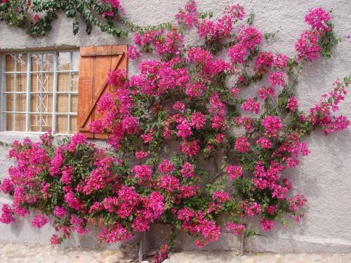 Hostal 365 On St Helena