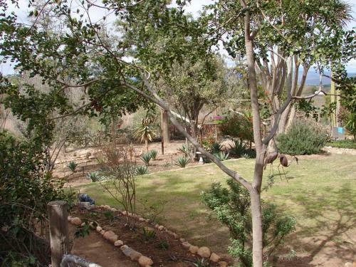 Hostal 365 On St Helena