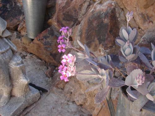 Hostal 365 On St Helena