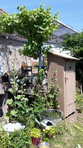 Bed & Breakfast B�cassine Et Ficelle