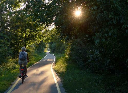 Siesta Apartman