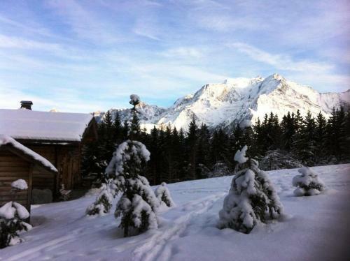 Apartamento Chalet 8 Pers. Vue Mont-blanc 69104