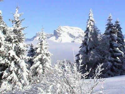 Apartamento Chalet 8 Pers. Vue Mont-blanc 69104